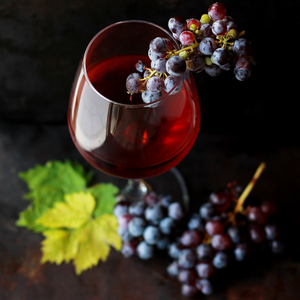 Marqués de Morano Rioja Joven